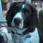 Profile Picture of Carol Flint (@carol.flint.56211) on Facebook