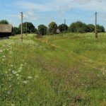 Profile Picture of Colinson (@colinsondaroog) on Instagram