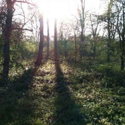 Profile Picture of Chris Howson (@Evo42ofChs) on Twitter