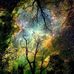 Profile Picture of Dawn Rising (@dawn.rising.568) on Facebook