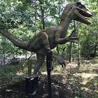 Profile Picture of Allison Tillett (@allison-tillett-1) on Quora