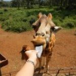 Profile Picture of Cindy Tong (@cindereiiie24) on Instagram