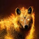 Profile Picture of Joshua Sturgeon (@jjm_fer) on Instagram