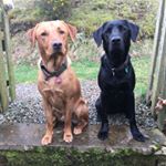 Profile Picture of Keith Stevens (@ksafc09) on Instagram