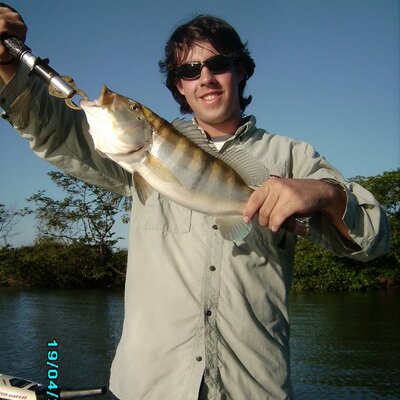 Profile Picture of Nicholas Pifer (@nicholaspifer) on Twitter