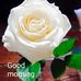 Profile Picture of Joseph Rebello (@joseph.rebello.754) on Facebook
