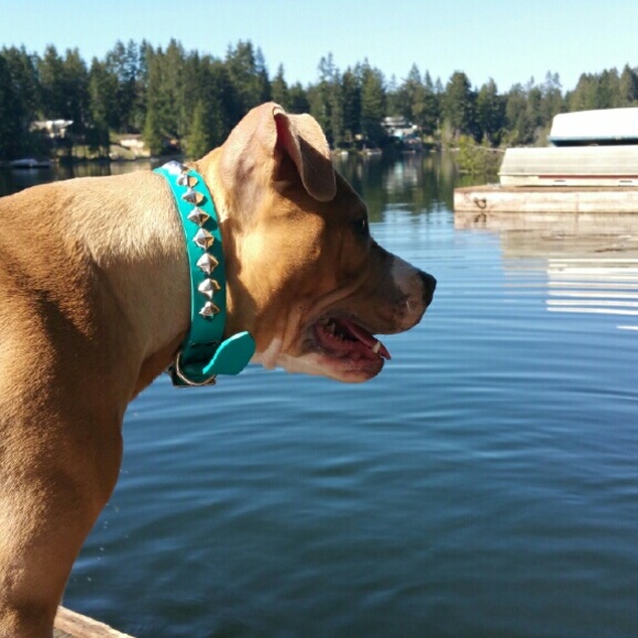 Profile Picture of Lisa Funai (@nalasmama808) on Poshmark