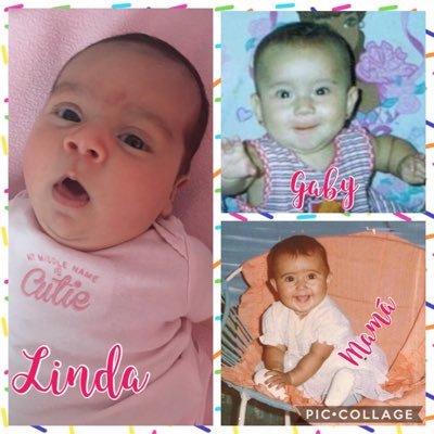 Profile Picture of Norma  Serrano (@gaviotica2004) on Twitter