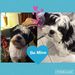 Profile Picture of Natalie Rütter (@nataliertter) on Pinterest