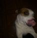 Profile Picture of Carlos Eduardo Piccinato (@carloseduardo.piccinato) on Facebook