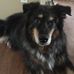 Profile Picture of Kim Swint (@kim.swint.731) on Facebook