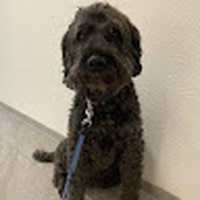 Profile Picture of Benjamin James Gasser (@benjamin-james-gasser) on Quora