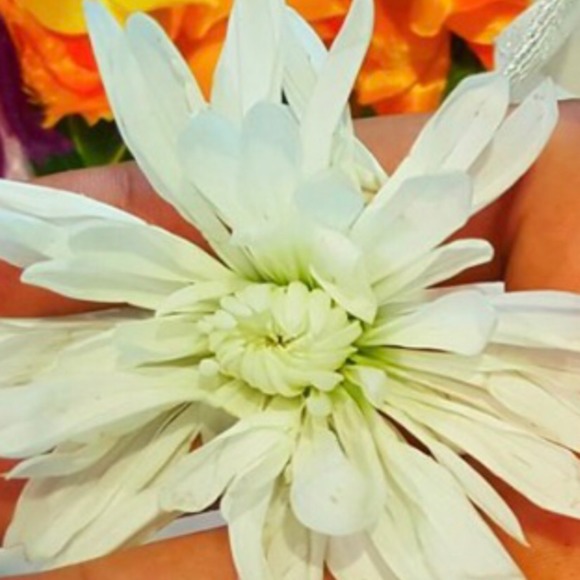 Profile Picture of Nandakumarie Brijlal (@12nan) on Poshmark