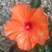 Profile Picture of Debi Mitchell (@justdebi14) on Pinterest