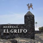 Tony griffiths - Instagram Profile Picture of Tony griffiths (@ellgriffo) on Instagram