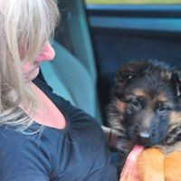 Profile Picture of Lori Carroll (@lori-carroll-8) on Quora