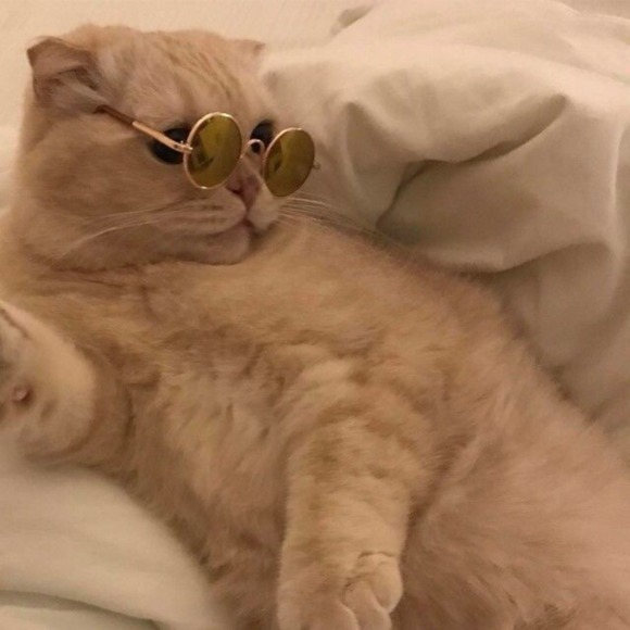 Profile Picture of Loanni Del monte (@loanni) on Poshmark