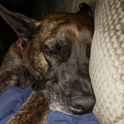 Profile Picture of Joseph McAdams (@joemcadams) on Twitter