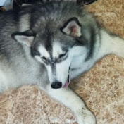 Profile Picture of Ivy Tolentino (@ivytolentino6454) on Youtube