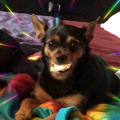 Profile Picture of Marlene De Haro (@MarleneDeHaro2) on Twitter