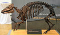 Profile Picture of Propalaeotheriumon Wikipedia