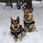 Profile Picture of Michaela Eifler (@michaela_eifs) on Instagram