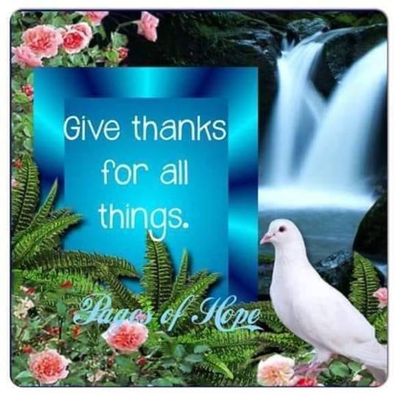 Profile Picture of Youssef Tawadrous (@ytawadrous) on Poshmark