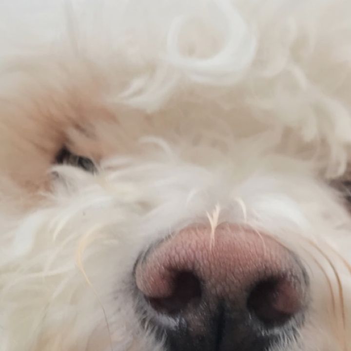 Profile Picture of K (@edwardschewtoy) on Tiktok