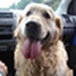 Profile Picture of Elias Maharis (@rexx_300) on Flickr