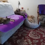 Profile Picture of Nancy Dockery (@nancy.dockery.566) on Facebook