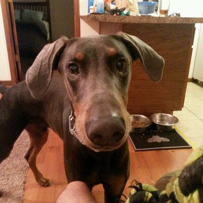 Profile Picture of SEAN WARD (@JESTER9120) on Twitter