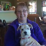 Profile Picture of Debra Heidi Krell (@debheidi) on Instagram