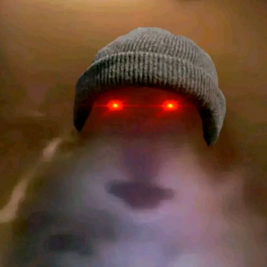 Profile Picture of David Kloos447 (@wer.sonst.du.hrs) on Tiktok