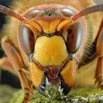 Profile Picture of Robert Bonk (@r.bonk1985) on Instagram