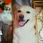 Profile Picture of Darshan medhi (@__darshan__medhi__) on Instagram