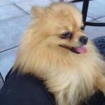 Profile Picture of Tracey Harris (@tracey.jeanette) on Instagram