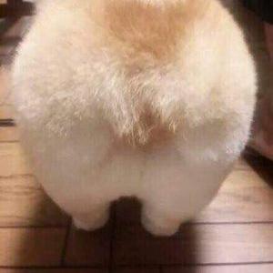 Profile Picture of Mui Leng Wong (@chananari94) on Twitter