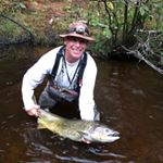 Profile Picture of Greg Collins (@oz_web) on Instagram