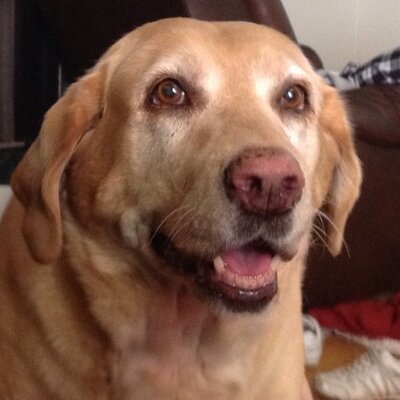 Profile Picture of Justin Stauffer (@Jts27Stauffer) on Twitter