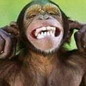 Profile Picture of Geoff Dunne (@geoff.dunne.50) on Facebook