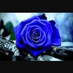 Profile Picture of Elivonete Eckhardt (@elivoneteeckhardt) on Instagram
