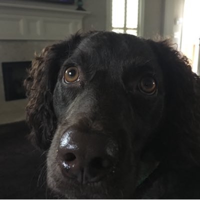 Profile Picture of John R Holliman, Esq (@holliman_JR) on Twitter