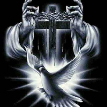 Profile Picture of Asif Gill (@asifgill28083) on Twitter