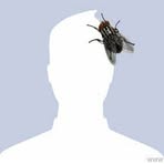 Profile Picture of Travis Walter (@travis.walter.316625) on Facebook