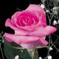 Profile Picture of Sandhya Ramakrishnan (@sandhya-ramakrishnan-4) on Quora