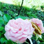 Profile Picture of Rayner Patrick (@rayner.patrick) on Instagram