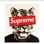 Profile Picture of Isaiah Stephens (@istephens87) on Instagram