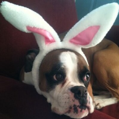 Profile Picture of Kathleen Hickey (@k8hickey) on Twitter