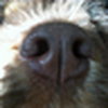 Profile Picture of Amy Rowland (@amyrow02) on Flickr