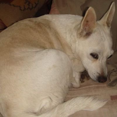 Profile Picture of Ken Marti (@KenMarti3) on Twitter